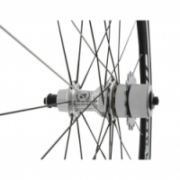 pastorky na ořech single speed