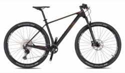 4EVER 2023 INEXXIS TEAM matt black / bronze