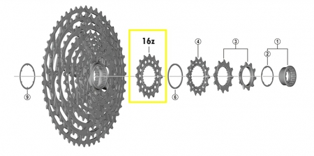 pastorek Shimano CS-M9100 16z