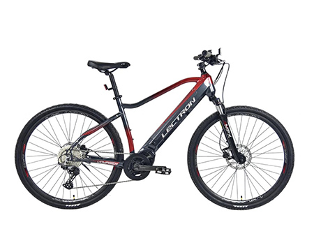 Voyager MFX 19