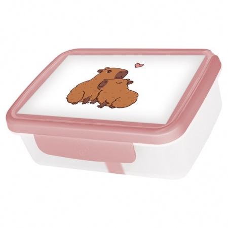 zdravá sváča R&B box Kapybary